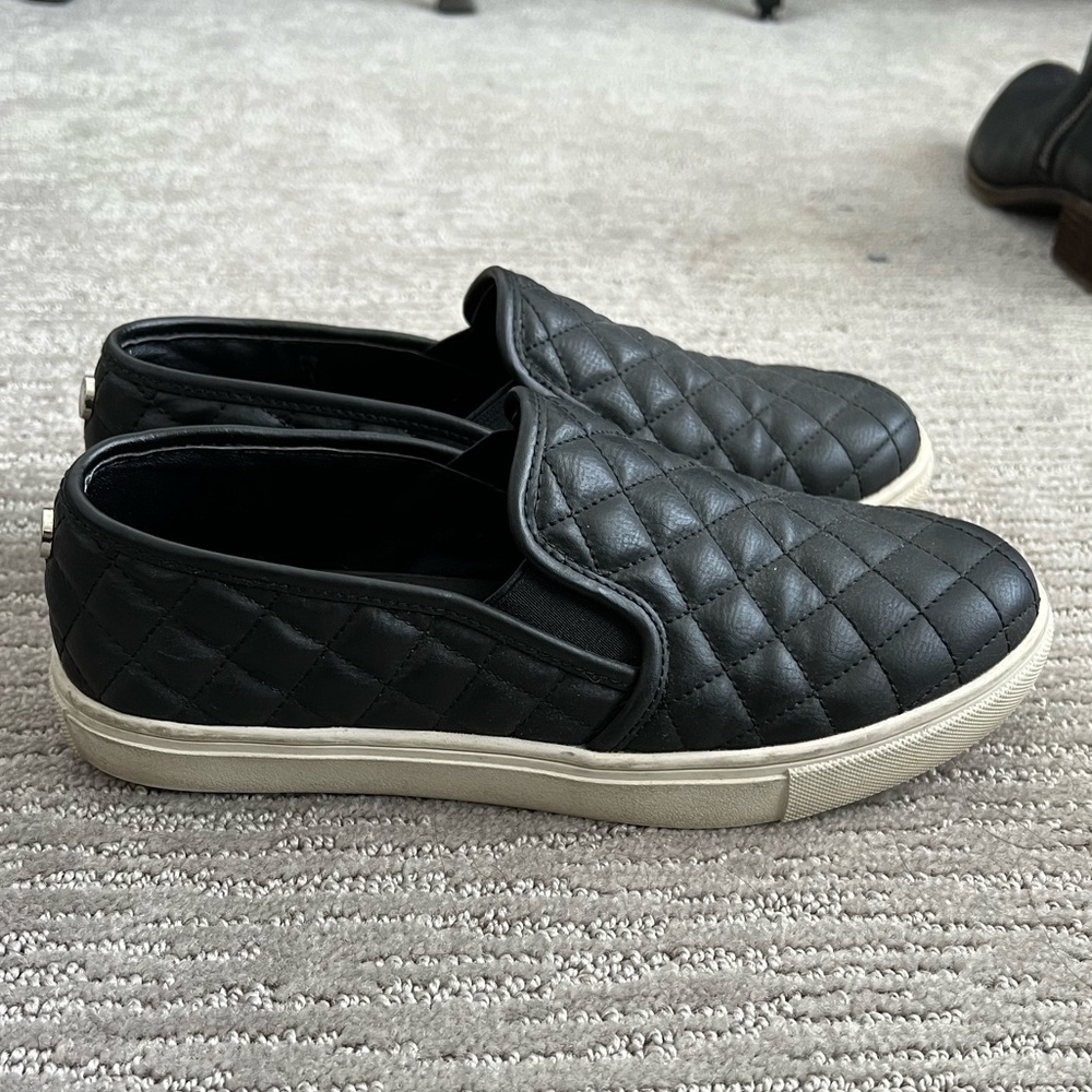 Steve Madden Women’s Ecentrcq Sneaker - size 8